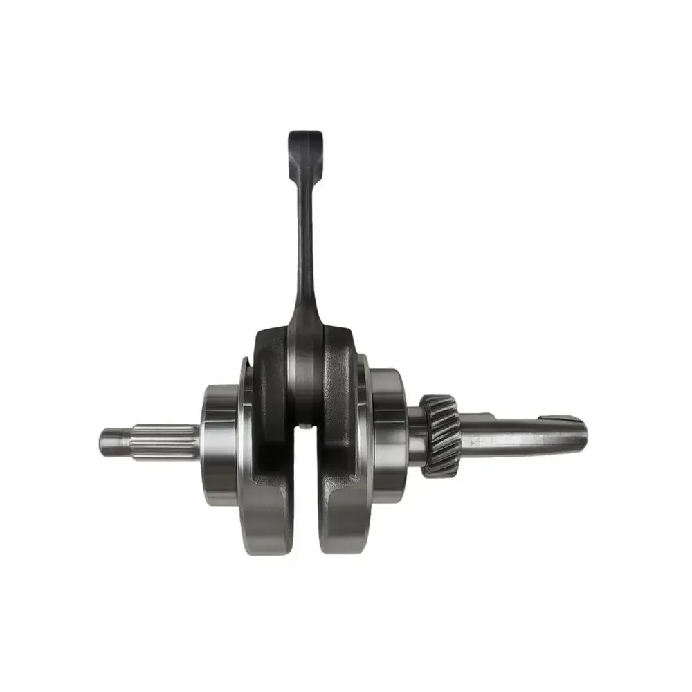 [061700201] CIGUENAL ZS200-7.webp